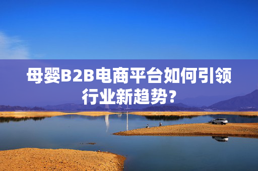 母婴B2B电商平台如何引领行业新趋势？