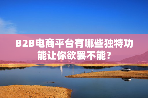 B2B电商平台有哪些独特功能让你欲罢不能？