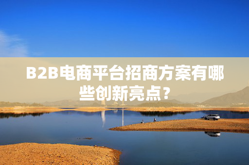 B2B电商平台招商方案有哪些创新亮点？