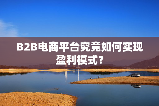 B2B电商平台究竟如何实现盈利模式？