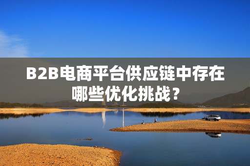 B2B电商平台供应链中存在哪些优化挑战？