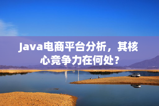 Java电商平台分析，其核心竞争力在何处？