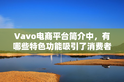 Vavo电商平台简介中，有哪些特色功能吸引了消费者的注意？