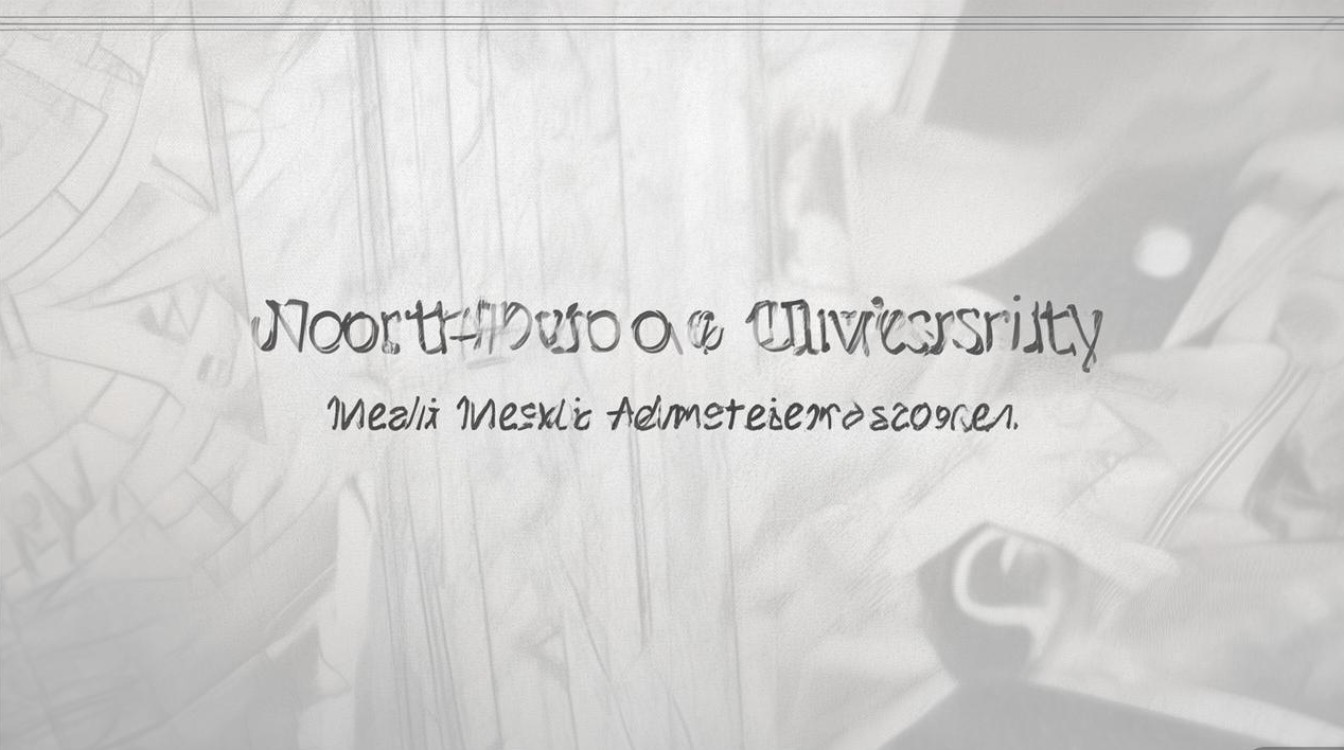 西北大学传媒录取分