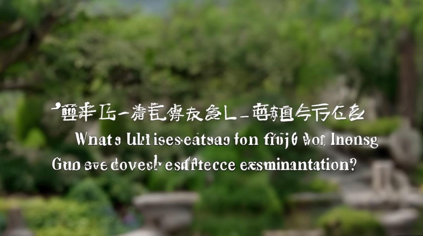 广东高考落榜可以上什么大学？