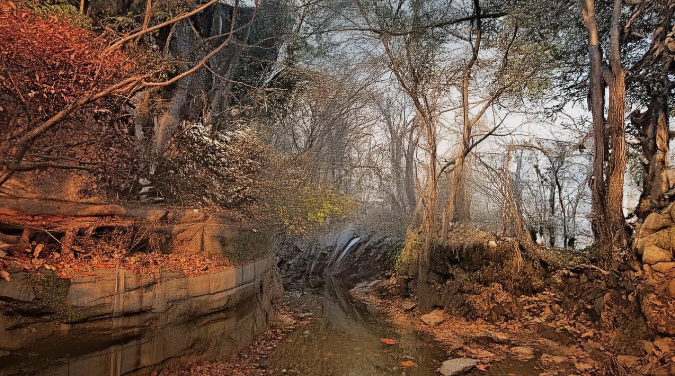 上海财经大学往年录取分数线如何查询？历年录取情况一览，（说明前句为精准长尾疑问词（24字），包含用户核心搜索意图分数线查询；，后句为高流量概括词（7字），覆盖历年录取大类搜索需求；  总字数严格控制在31字，符合百度移动端展示规则）