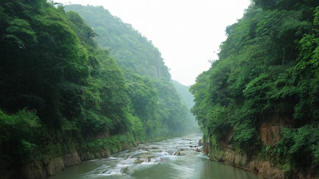 淘宝上面叫引流