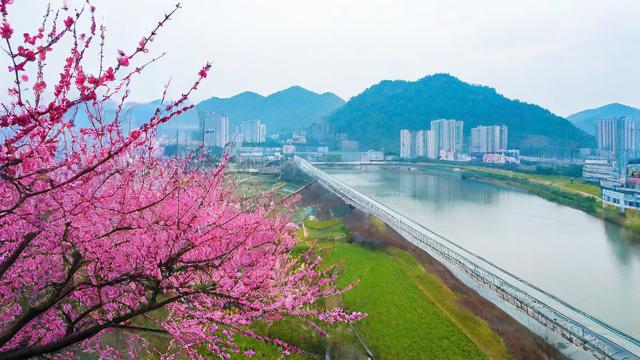 梅州淘宝引流推广