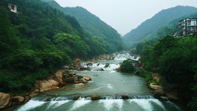 淘宝联盟查看引流