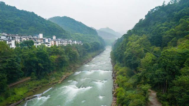 淘宝联盟查看引流