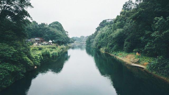 自媒体怎样引流到淘宝上