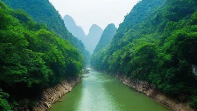 淘宝昨日引流人数