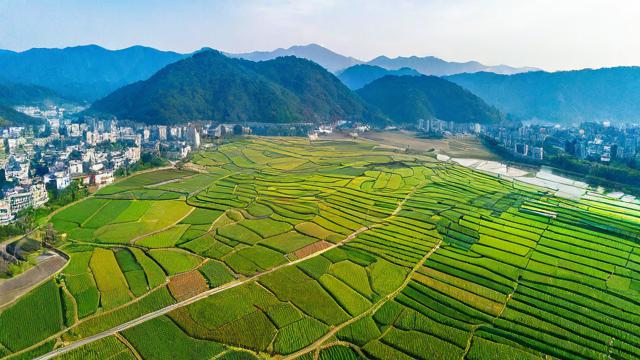 四川省农村电商平台