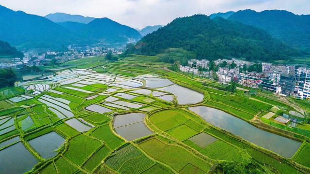 四川省农村电商平台