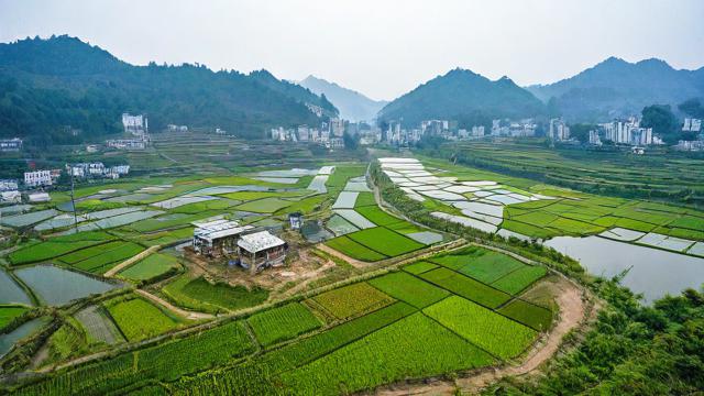 重庆农村电商平台