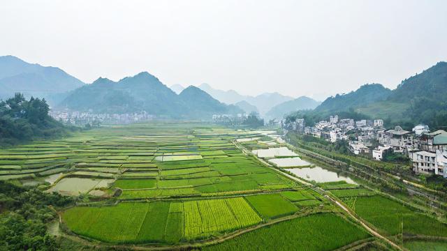 重庆农村电商平台