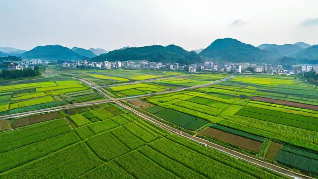 南阳农村电商平台