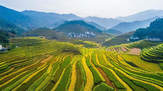 昌宁 特产 电商平台